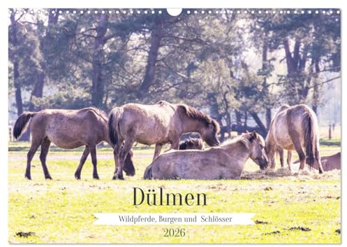 Dülmen - Wildpferde, Burgen und Schlösser (Wandkalender 2026 DIN A3 quer), CALVENDO Monatskalender: Dülmen ist bekannt für seine große Wildpferdeherde ... Schlösser und Wasserburgen (CALVENDO Orte)