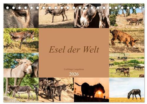 Esel der Welt - Lieblings Langohren (Tischkalender 2026 DIN A5 quer), CALVENDO Monatskalender: Seltene Eselrassen der Kulturen (CALVENDO Tiere)