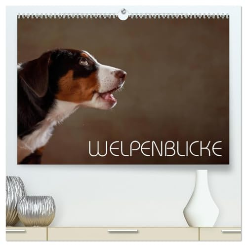 Welpenblicke (hochwertiger Premium Wandkalender 2026 DIN A2 quer), Kunstdruck in Hochglanz: Welpenblicke mit der Kamera eingefangen (CALVENDO Tiere)