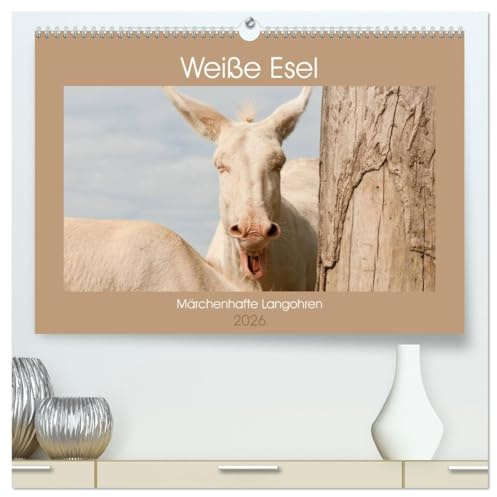 Weiße Esel - Märchenhafte Langohren (hochwertiger Premium Wandkalender 2026 DIN A2 quer), Kunstdruck in Hochglanz: Lichtbringer Barockesel (CALVENDO Tiere)