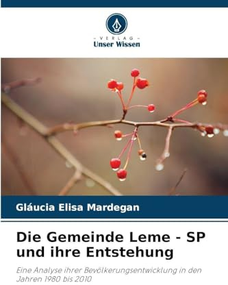 Die Gemeinde Leme - SP und ihre Entstehung: Eine Analyse ihrer Bevölkerungsentwicklung in den Jahren 1980 bis 2010