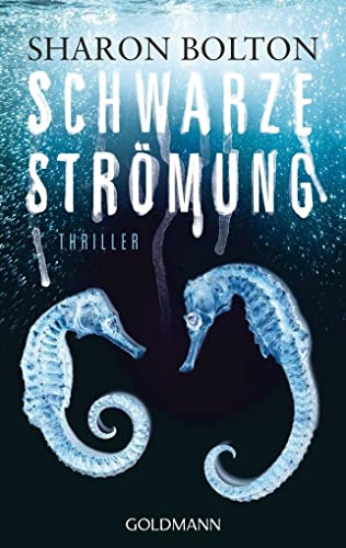 Schwarze Strömung - Lacey Flint 4: Thriller