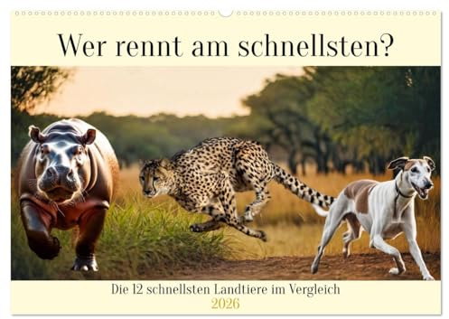 Wer rennt am schnellsten? (Wandkalender 2026 DIN A2 quer), CALVENDO Monatskalender: Die 12 schnellsten Landtiere im Vergleich (CALVENDO Tiere)