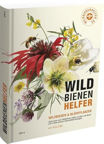 WILDBIENENHELFER: Wildbienen & Blühpflanzen