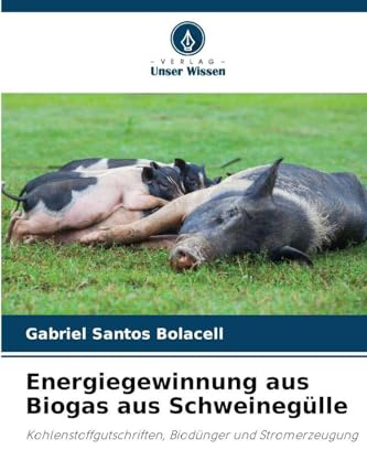 Energiegewinnung aus Biogas aus Schweinegülle: Kohlenstoffgutschriften, Biodünger und Stromerzeugung