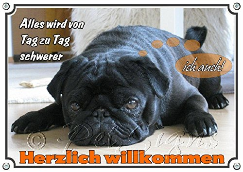 Petsigns Hundeschild Mops - Metallschild haltbar - uv beständig - lustig, DIN A4