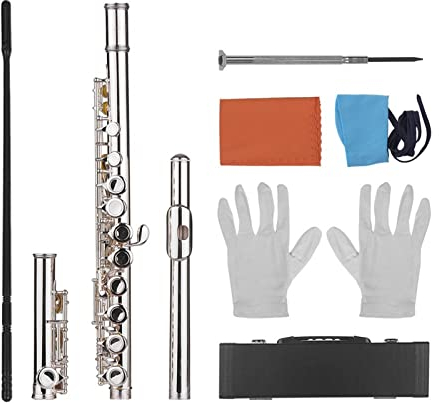 DZDZDZ querflöte Instrument 16 Löcher Geschlossene Loch Flute C Schlüsselkonzertflöten Cupronickel Versilbert Mit Putzen Tuch Stabhandschuhe Holzwind Instrument Einsteigerflöte