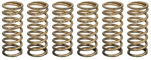 Clutch Springs TRW MEF339-6