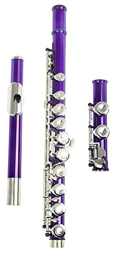 Flauto traverso Viola 16 Fori Flauto C Tono Foro Chiuso Chiave d'Argento Cupronickel Flauto Strumento A Fiato con Custodia Flauto Panno di Pulizia