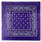 JOPHY & CO. Bandanas aus 100% Baumwolle für Damen Herren Kinder Unisex mit Paisley Muster Kopftuch Kopfbedeckung Schal für Haar/Hals/Handgelenk/Kopf COD.644 (Violett Paisley)