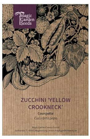 Gelbe Zucchini 'Yellow Crookneck' (Cucurbita pepo) - ca. 7 Samen der alten amerikanischen Sorte