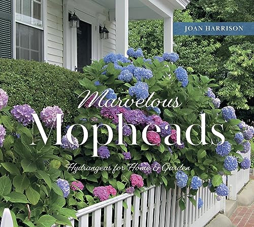 Marvelous Mopheads: Hydrangeas for Home & Garden