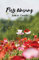 Rosedog Books