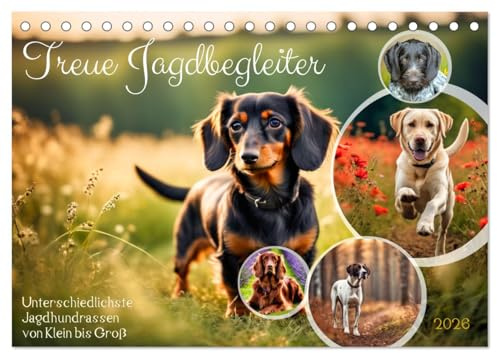 Treue Jagdbegleiter (Tischkalender 2026 DIN A5 quer), CALVENDO Monatskalender: Unterschiedlichste Jagdhundrassen von Klein bis Groß (CALVENDO Tiere)