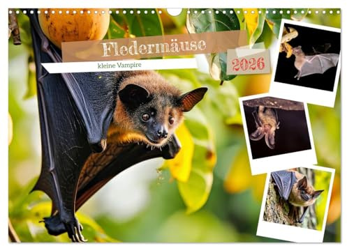 Fledermäuse - kleine Vampire (Wandkalender 2026 DIN A3 quer), CALVENDO Monatskalender: Wichtige Helfer im Ökosystem (CALVENDO Tiere)