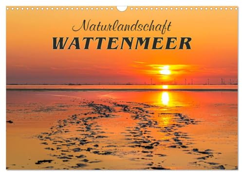 Naturlandschaft WATTENMEER (Wandkalender 2026 DIN A3 quer), CALVENDO Monatskalender: Nationalpark und Weltnaturerbe an der Nordseeküste (CALVENDO Natur)