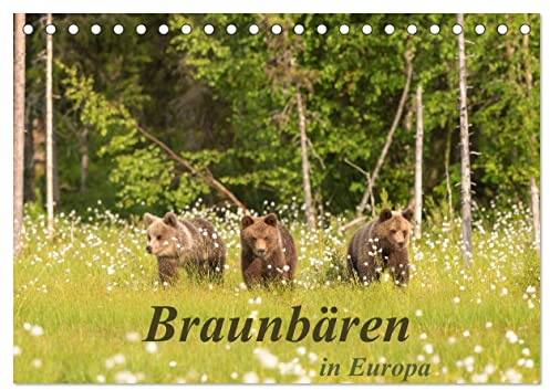 Braunbären in Europa (Tischkalender 2026 DIN A5 quer), CALVENDO Monatskalender: Braunbären in ihrem natürlichen Lebensraum in Finnland und Slowenien (CALVENDO Tiere)