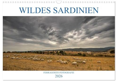Wildes Sardinien 2026 (Wandkalender 2026 DIN A3 quer), CALVENDO Monatskalender: Eindrucksvolle Impressionen der wilden Natur der italienischen Insel. (CALVENDO Natur)