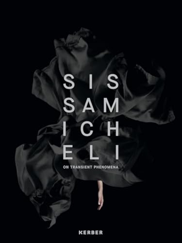 Sissa Micheli: On Transient Phenomena
