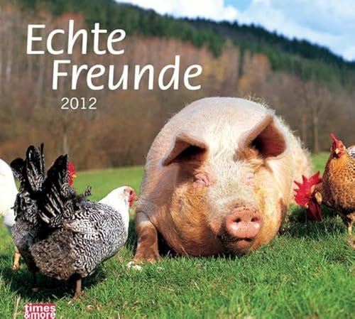 tm Bildkalender Echte Freunde 2012