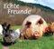 tm Bildkalender Echte Freunde 2012