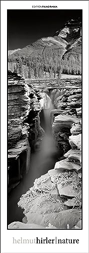 Nature: Immerwährender Vertikal-Kalender, 40 x 110 cm