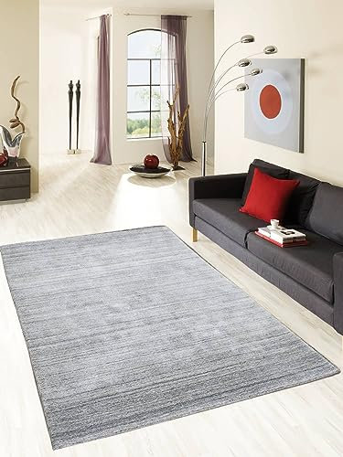 Rug Studios Teppich Talin | Farbe: Hellgrau; Größe: 170 x 240 cm | strapazierfähig und leicht zu reinigen | Wohnzimmer | Schlafzimmer