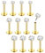 Chriscoco 16G 12Pcs Helix Piercings Chirurgenstahl Piercing Ohr Conch Piercing Nasenpiercing Tragus Piercing lippenpiercing labret Piercing Studs 6mm für Frauen Männer Gold