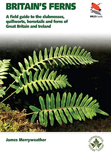 Britain's Ferns, Clubmosses, Spikemosses, Quillworts and Horsetails (WILDGuides): Clubmosses, Quillworts and Horsetails of Britain and Ireland: 31 (WILDGuides of Britain & Europe)