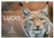 Raubkatze Luchs (Wandkalender 2025 DIN A3 quer), CALVENDO Monatskalender: Der Luchs, lange gejagt und fast ausgestorben. Das scheue Wildtier ist wieder zurück. (CALVENDO Tiere)