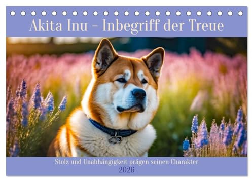 Akita Inu - Inbegriff der Treue (Tischkalender 2026 DIN A5 quer), CALVENDO Monatskalender: Stolz und Unabhängigkeit prägen seinen Charakter (CALVENDO Tiere)