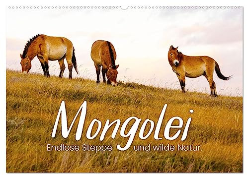 Mongolei - Endlose Steppe und wilde Natur. (Wandkalender 2026 DIN A2 quer), CALVENDO Monatskalender: Eine unbeschreibliche Reise durch ein unbekanntes Land. (CALVENDO Orte)