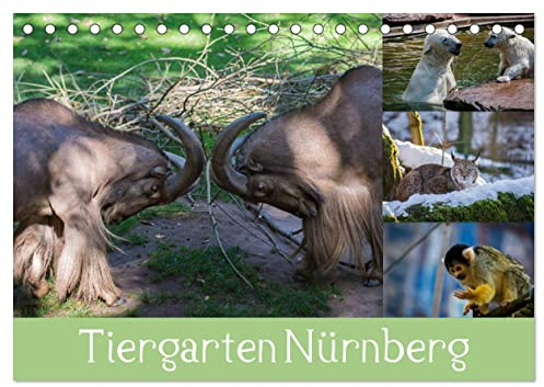 Tiergarten Nürnberg (Tischkalender 2026 DIN A5 quer), CALVENDO Monatskalender: Meine schönsten Tierbilder aus Nürnberg. (CALVENDO Tiere)