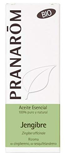 Ingwer Rizoma ätherisches Öl BIO 5 ml.