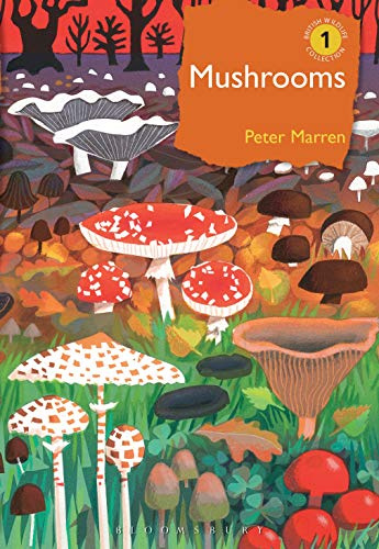 Mushrooms: The natural and human world of British fungi (British Wildlife Collection)