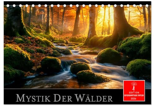 Mystik der Wälder (Tischkalender 2026 DIN A5 quer), CALVENDO Monatskalender: Eine fabelhafte Reise in zauberhafte Waldlandschaften. (CALVENDO Natur)