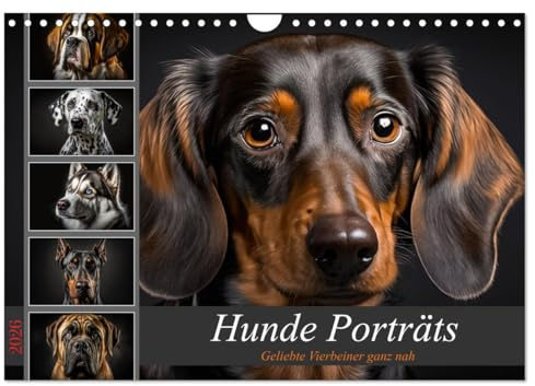 Hunde Porträts (Wandkalender 2026 DIN A4 quer), CALVENDO Monatskalender: Zwölf Bilder von beliebten Hunderassen, die mit ihren Blicken die Herzen berühren (CALVENDO Tiere)