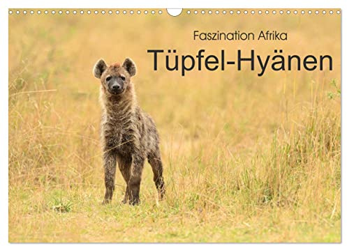 Faszination Afrika: Tüpfel-Hyänen (Wandkalender 2026 DIN A3 quer), CALVENDO Monatskalender: Die Raubtiere mit dem schlechten Ruf - zu unrecht! (CALVENDO Tiere)
