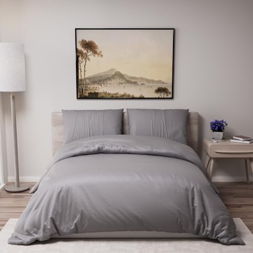 Dreamzie - Bettwäsche Set 200x200 cm mit 2 Kissenbezügen 80x80 cm Anthrazit - Bettbezug 200x200 Erwachsene aus 100% Mikrofaser - Zertifiziert ohne Chemikalien (Oeko TEX)