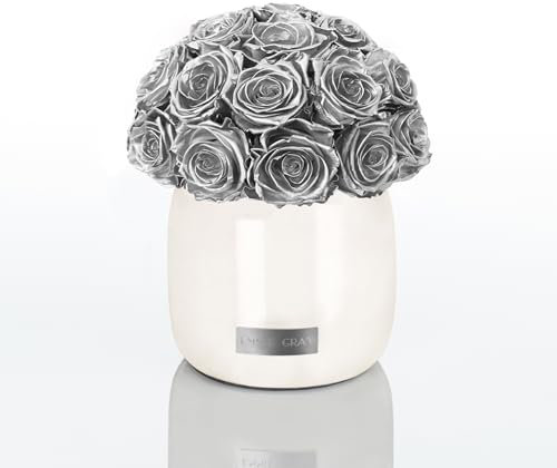 EG EMMIE GRAY Premium Off White Metallic Infinity M | – Traumhafte Infinity Rosen, 1-3 Jahre haltbare Rosen, Off White Metallic Vase mit echten, konservierten Rosen (Silver)