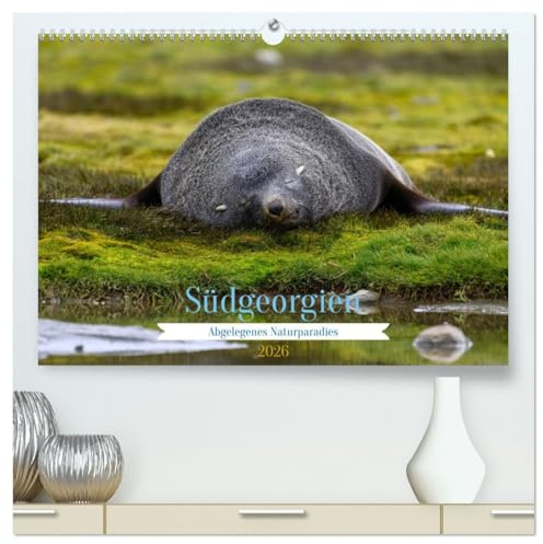 Südgeorgien - Abgelegenes Naturparadies (hochwertiger Premium Wandkalender 2026 DIN A2 quer), Kunstdruck in Hochglanz: Wunderschöne Aufnahmen vom südlichen Ende der Welt (CALVENDO Natur)