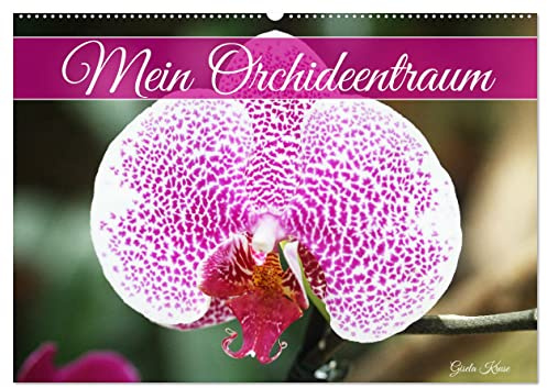 Mein Orchideentraum (Wandkalender 2026 DIN A2 quer), CALVENDO Monatskalender: Vielfältige Orchideenblüten in ausdrucksstarken Fotografien (CALVENDO Natur)