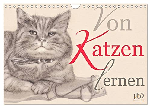 Von Katzen lernen (Wandkalender 2026 DIN A4 quer), CALVENDO Monatskalender: Kalender mit Planer - Katzenzeichnungen mit Zitaten (CALVENDO Tiere)