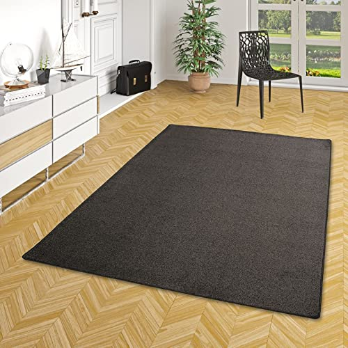 Snapstyle Hochflor Velours Teppich Luna Anthrazit in 24 Größen