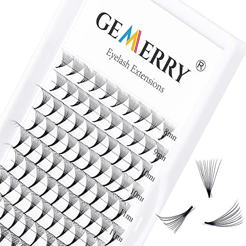 Extension Cils 12D Bouquets Pre Fait Cils 0.07mm C curl Volume Russe 8-14mm Mix Faux Cils Individuel Volume Lash Extensions de GEMERRY (0.07-12D-C curl-mix)