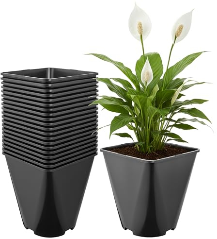 Garronda Pot de Fleur Carré Arrondi Plastique 18 × H 20 cm (5L) Lot 20 Godets Semis Pots de Pépinière Drainage Résistants Intempéries pour Culture Plantes Jardin Serre Intérieur Extérieur GD-0200