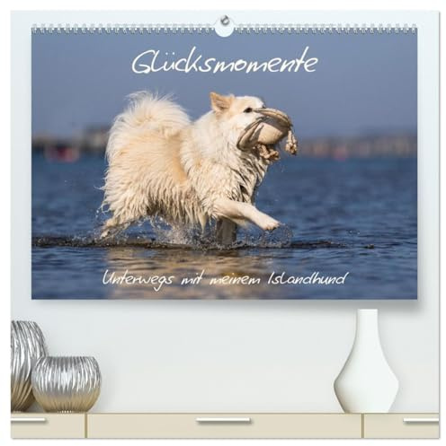 Glücksmomente - Unterwegs mit meinem Islandhund (hochwertiger Premium Wandkalender 2026 DIN A2 quer), Kunstdruck in Hochglanz: Die Lebensfreude meines Islandhundes ist ansteckend. (CALVENDO Tiere)