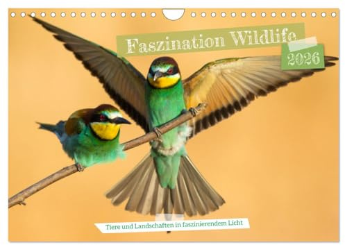 Faszination Wildlife (Wandkalender 2026 DIN A4 quer), CALVENDO Monatskalender: Es werden Tiere und Landschaften in besonderem Licht gezeigt. (CALVENDO Tiere)