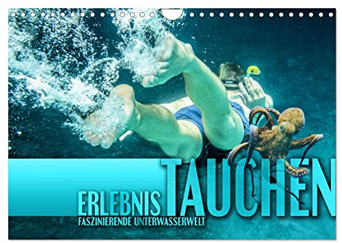 Erlebnis Tauchen - faszinierende Unterwasserwelt (Wandkalender 2026 DIN A4 quer), CALVENDO Monatskalender: Spektakuläre Bilder von traumhaften Tauchrevieren der Erde (CALVENDO Sport)