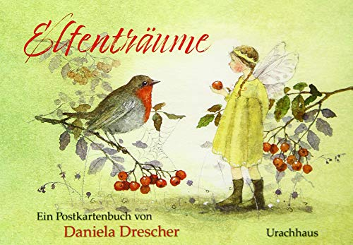 Postkartenbuch Elfenträume: Ein Postkartenbuch von Daniela Drescher